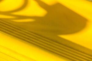 Shadows dance over vibrant yellow surface with intricate patterns captured in warm afternoon light photo