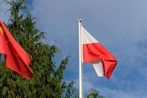 A vibrant display of national pride with the Polish flag fluttering against a clear blue sky, accompanied by the Chinese flag on a sunny day photo