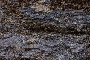Close-up view of textured rock surface with various shades of gray and intricate patterns in a natural outdoor setting photo
