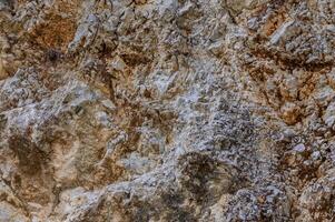 Close-up of textured rock surface showcasing natural patterns and colors under sunlight in a remote outdoor area photo