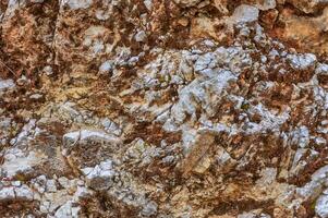 A close-up view of textured rock formations showcasing intricate layers and colors in a natural habitat during daylight photo