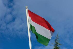 Hungarian flag waving against a clear blue sky, surrounded by lush greenery on a sunny day photo