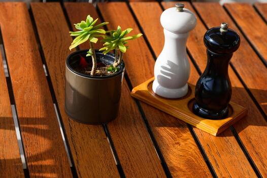 un hermosa tarde en un de madera mesa presentando vibrante suculentas y clásico sal y pimienta agitadores, atractivo un acogedor comida experiencia foto