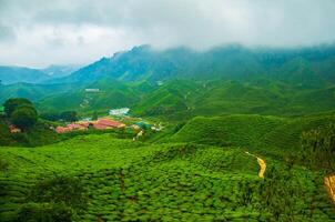 Aerial view of tea plantation on a hill, surrounded by Foggy mountains and forest, with a vibrant rural atmosphere, Cameron highlands, Malaysia. photo