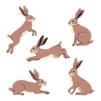 Set of wild hares in different poses. graphics vector