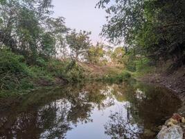 A river in the jungle with trees and rocks photo
