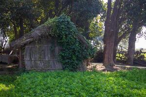 A small hut with a roof made of grass photo
