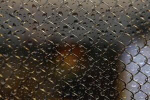 Grid Patterns The Original Form of Raindrops photo