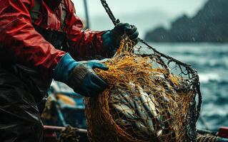 Fisherman hauling a fishing net filled with fish on a commercial fishing boat, wearing waterproof gear and rubber gloves, ocean backdrop, overcast sky. photo