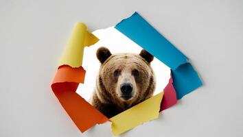 A brown bear is peeking out of a hole in a paper photo