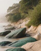 A beach with rocks and trees photo