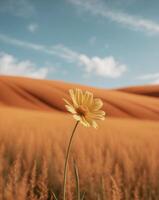 A single yellow flower stands in the middle of a field photo