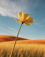 A single yellow flower stands in front of a desert photo