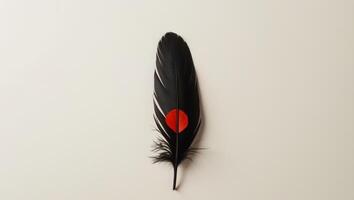 A black feather with a red dot on it photo