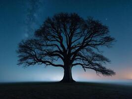 A lone tree stands in the middle of a field at night photo