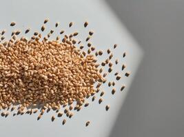 A pile of sesame seeds on a white surface photo
