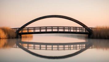 A bridge over a body of water with reeds photo