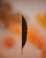 A feather is flying in the air with a cloud in the background photo
