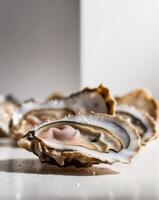 A close up of several oysters on a white surface photo