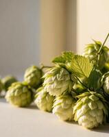 Fresh hop cones on a table photo
