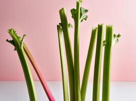 Rhubarb on a pink background photo