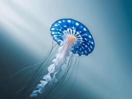 A jellyfish floating in the ocean with blue and white spots photo