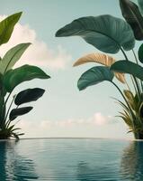 Tropical plants in a pool with a blue sky photo