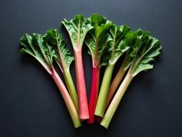 A group of fresh rhubarb on a black background photo