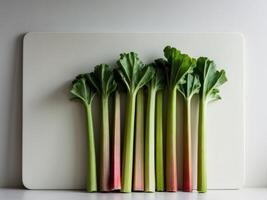 A group of rhubarb leaves on a white board photo