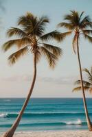 Two palm trees on a beach with the ocean in the background photo