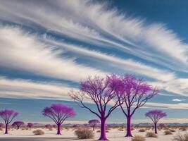 Purple trees in the desert with clouds in the sky photo