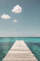 A wooden dock leading to the ocean photo