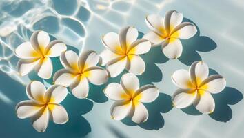 Four white flowers floating in the water photo