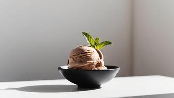 A bowl of chocolate ice cream with a green leaf photo