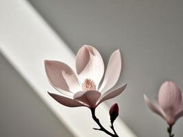 Two pink flowers are shown in front of a window photo