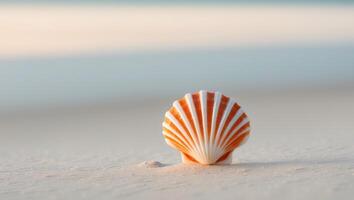 A single shell on the beach with the ocean in the background photo