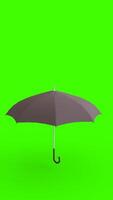 umbrella with green background photo
