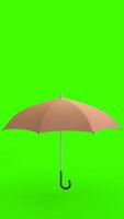 umbrella with green background photo