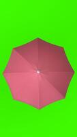 umbrella with green background photo