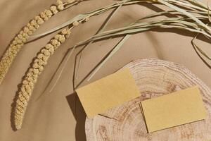 Flat lay of stylish composition with mock up visit cards, textile, rocks, wood, natural materials, dry plants and personal accessories. Neutral colors, top view, template. photo
