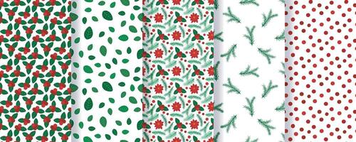 Botanical Christmas patterns set graphics vector