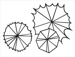 Top view three trees, hand drawing. architectural ink image. vector