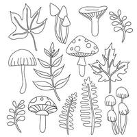 Coloring book. Set of cute autumn leaves and mushrooms. Drawing in doodle style vector