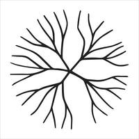 top view tree, hand drawing. architectural ink drawing. vector
