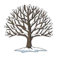 Winter Tree with Bare Branches and Snow Illustration vector