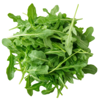Fresh Arugula Leaves for Culinary Use png