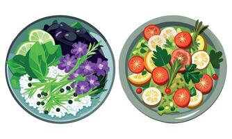 Two plates with different types of vegetables and fruits vector