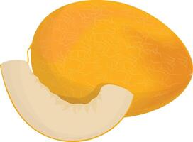 Whole Melon icon vector