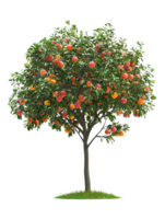 An apple tree with fruit on it png