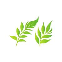 Green leaf logo icon on white background vector